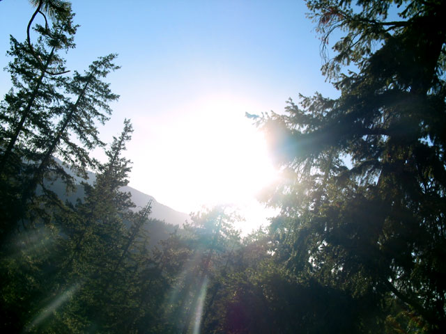 sunflare.jpg